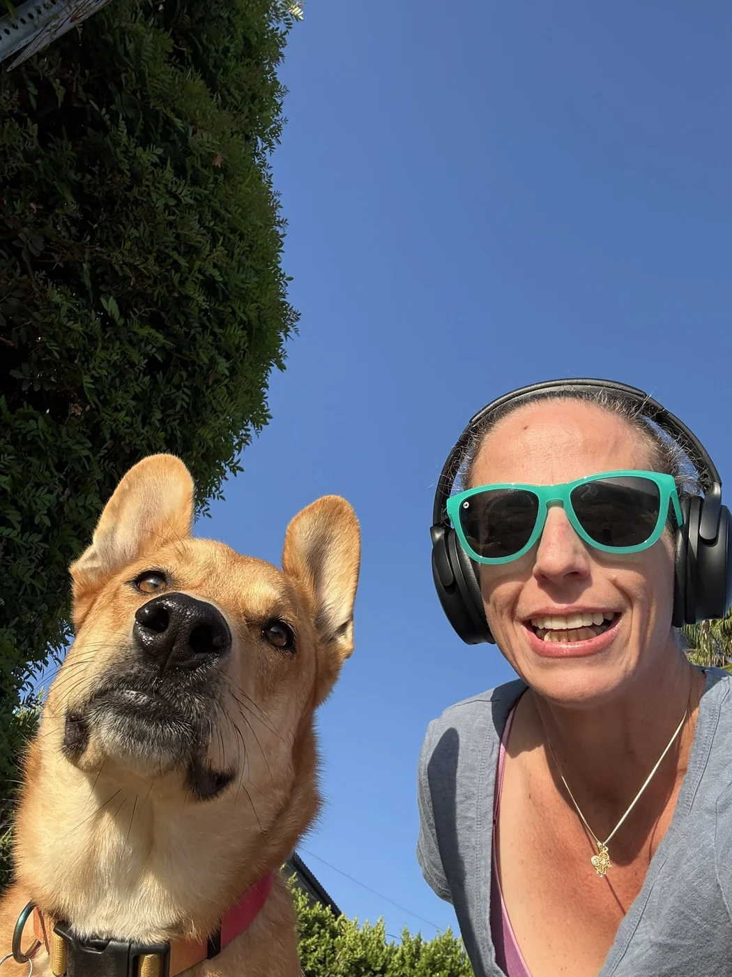 A dog and sitter enjoying the sunshine together