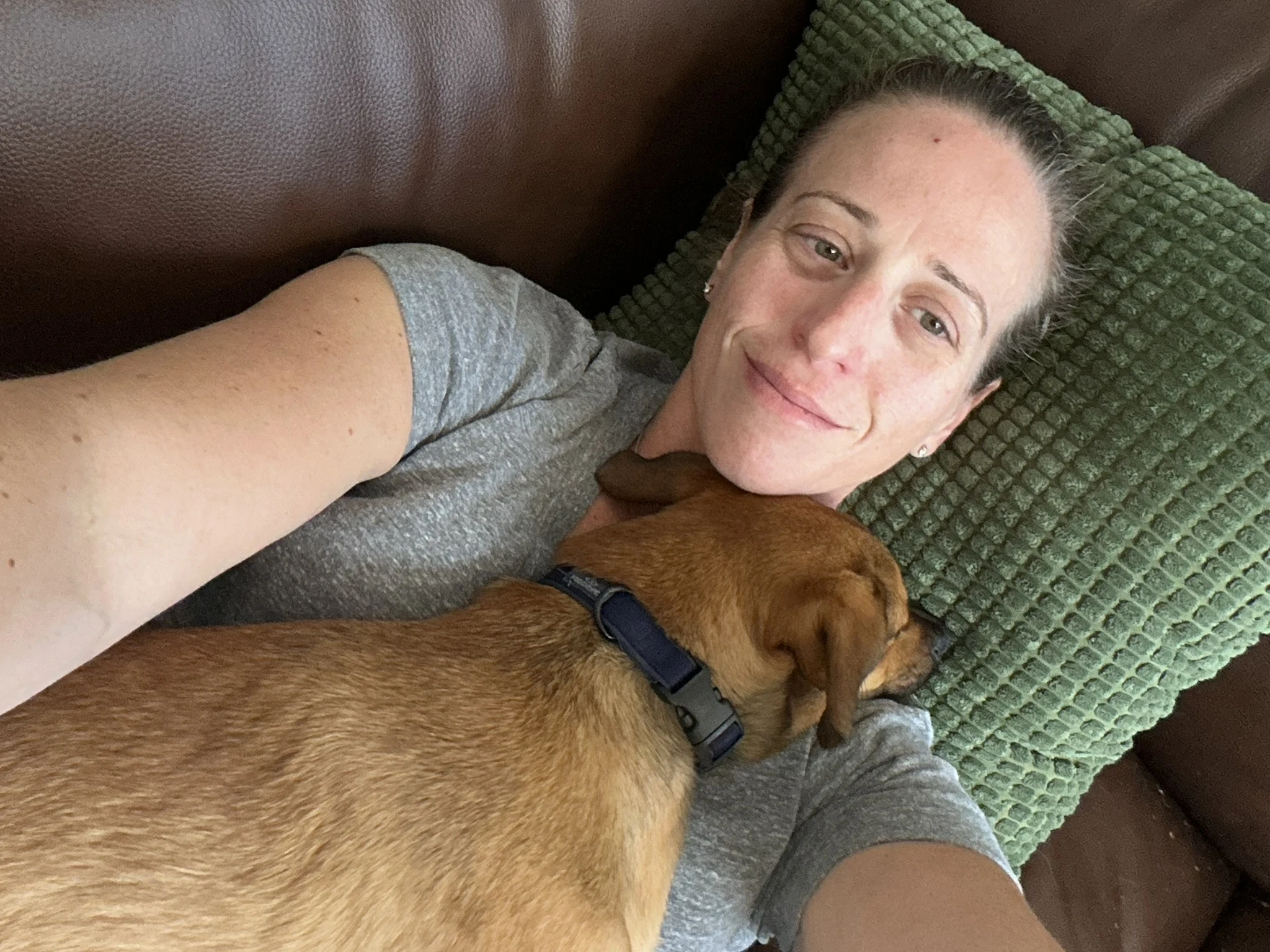 Walter curled up for a cuddle on the couch